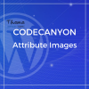 WooCommerce Attribute Images