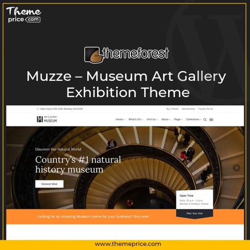 Muzze Museum Art Gallery Exhibition Theme