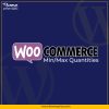 WooCommerce Min-Max Quantities