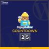 Popup Builder Countdown