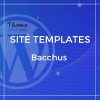 Bacchus – One Page HTML Template