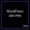 WordPress SEO PRO