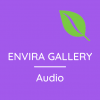 Envira Gallery – Audio Addon