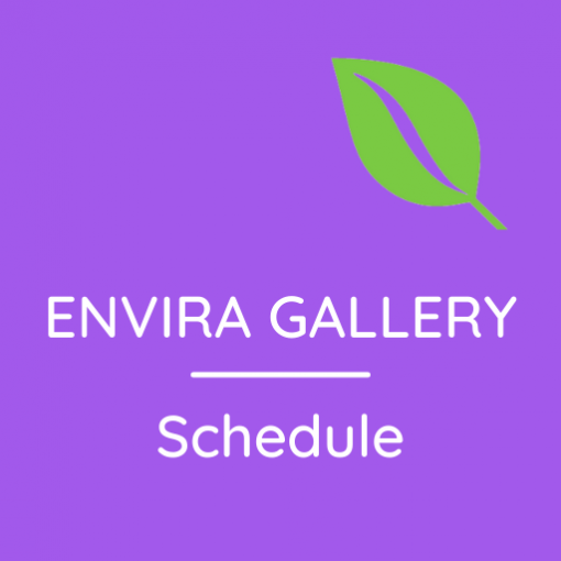 Envira Gallery – Schedule Addon